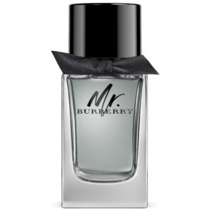 BURBERRY MR. BURBERRY EDT 100ML
