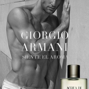 Giorgio Armani Acqua Di Gio EDT 100 ml Erkek Parfüm
